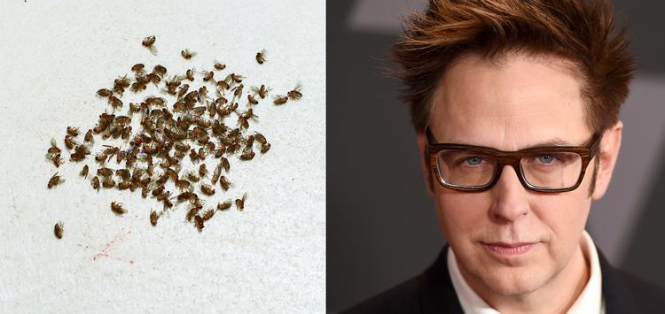 Arkivfoto Katinka Hustad/Jordan Strauss/AP