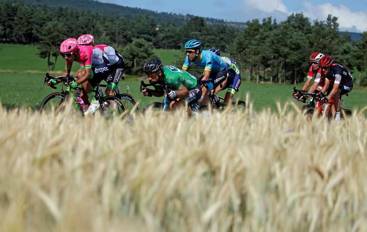 Peter Sagan (i grønt) sparer ikke sig selv under årets Tour de France.
   Stephane Mahe/Ritzau Scanpix