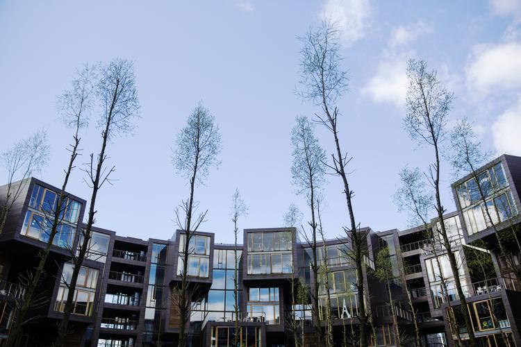 De nye kollegier behøver ikke at være arkitektoniske perler ligesom Tietgen-kollegiet på Amager.  Arkivfoto:  Emma Sejersen