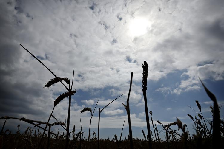 Jens Dresling/POLFOTO