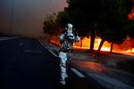 En græsk brandmand i kamp med flammerne i byen Rafina nær Athen. Costas Baltas/Ritzau Scanpix