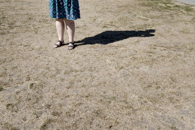 Græs bliver både gult og brunt, men kommer igen. Men hvad med mos? Får tørken has på haveejernes plage?
 Foto: Tanja Carstens Lund
   Lund Tanja Carstens/RITZAU/SCANPIX
