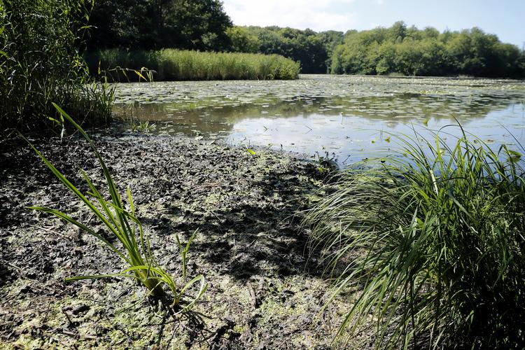 Jens Dresling/POLFOTO