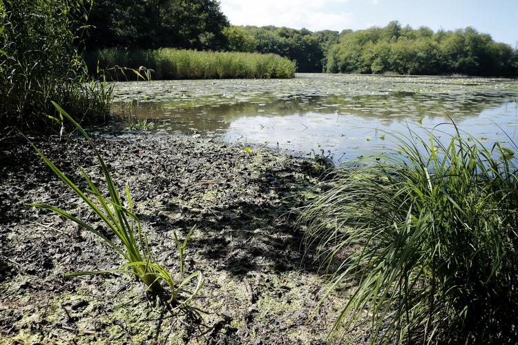 Jens Dresling/POLFOTO