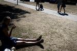 Efter adskillige ugers varme og tørke er Danmark svedet godt og grundigt af. Her er det i Aarhus, hvor alt græs efterhånden er visnet bort.  Lund Tanja Carstens/RITZAU/SCANPIX