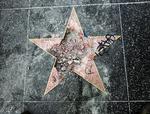Trumps stjerne på Hollywoods Walk of Fame er i dag - igen - blevet udsat for hærværk. Reed Saxon/AP
