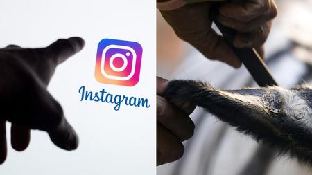 Tobias Hase/AP, Guillermo Arias/AP