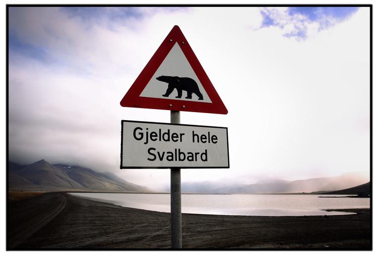 
   Der er masser af isbjørne på Svalbard. Advarselsskilte om isbjørne er der også mange af - her et uden for hovedbyen Longyearbyen.
   Morten Langkilde/POLFOTO