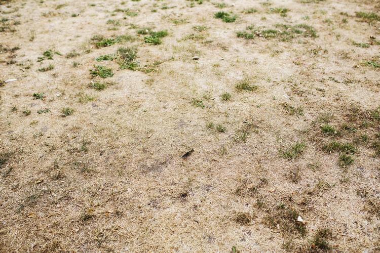 Emma Sejersen/POLFOTO