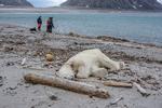 Gustav Busch Arntsen/AP