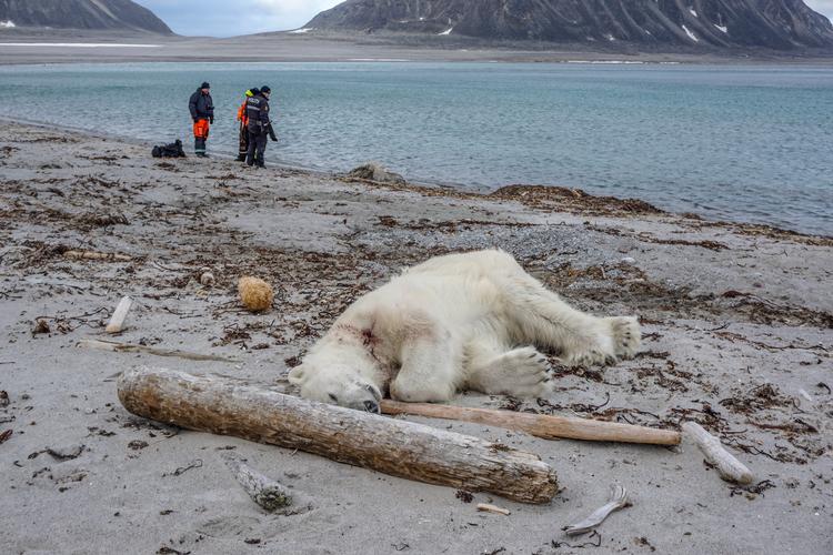 Gustav Busch Arntsen/AP