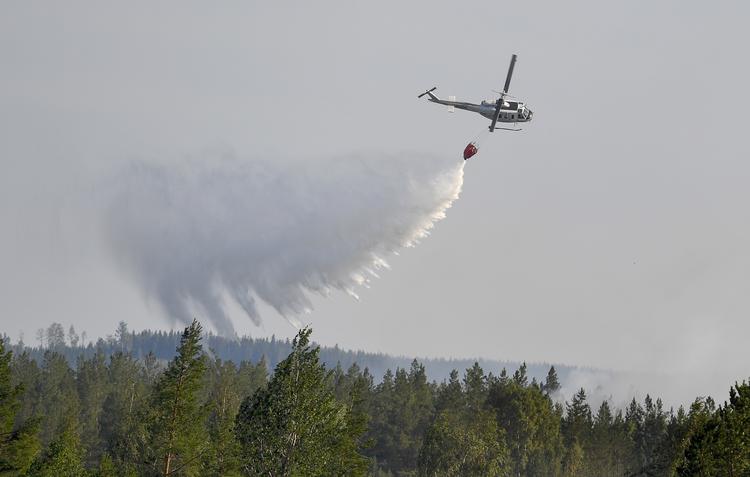 
   Sverige har været ramt f usædvanligt mange skovbrande i år.
   Maja Suslin/AP