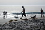 Eller her, hvor badegæster og vandhunde prøver at blive nedkølet af vandet ved Larinastranden i spanske Muros. Paul White/AP
