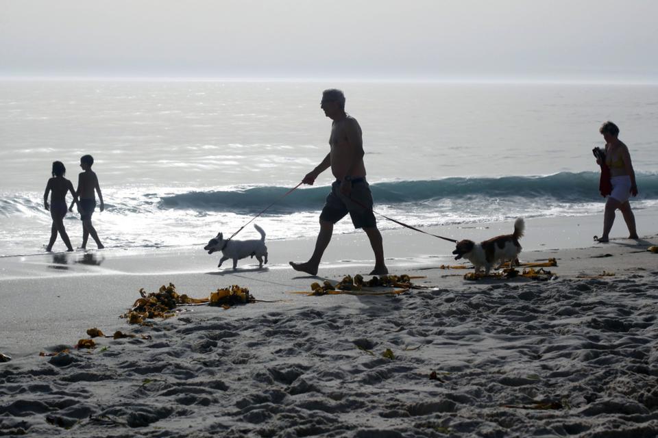 Eller her, hvor badegæster og vandhunde prøver at blive nedkølet af vandet ved Larinastranden i spanske Muros. Paul White/AP