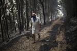 En mand med ved byen Monchique, som en naturbrand natten til i dag truede med at opsluge.  Javier Fergo/AP