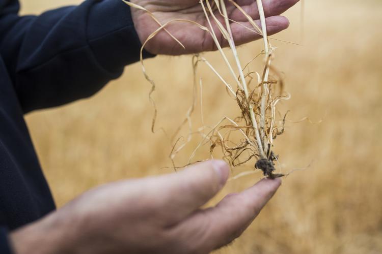 Emma Sejersen/POLFOTO