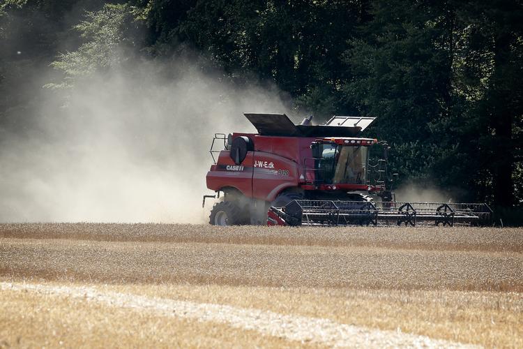 Jens Dresling/POLFOTO