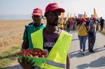 En migrantarbejder i Italien holder en skål tomater under en demonstration onsdag. Lørdag og mandag blev i alt 16 arbejdere dræbt i to næsten identiske biluheld nær byen Foggia i det sydøstlige Italien, og det har skabt opmærksomhed om deres elendige forhold. De fleste af tomatplukkerne i området kommer fra Afrika eller fra Rumænien, Bulgarien og Polen. Roberto D'agostino/Ritzau Scanpix