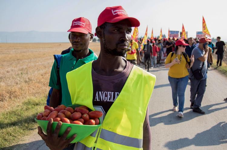 En migrantarbejder i Italien holder en skål tomater under en demonstration onsdag. Lørdag og mandag blev i alt 16 arbejdere dræbt i to næsten identiske biluheld nær byen Foggia i det sydøstlige Italien, og det har skabt opmærksomhed om deres elendige forhold. De fleste af tomatplukkerne i området kommer fra Afrika eller fra Rumænien, Bulgarien og Polen. Roberto D'agostino/Ritzau Scanpix