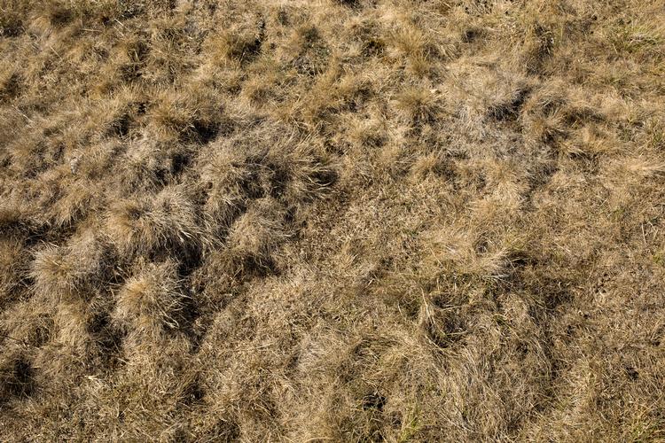 Andreas Haubjerg/POLFOTO