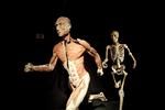 'Bodies'-udstillingen, der er blevet besøgt af millioner af mennesker verden over, er igen kommet i modvind efter anklager om, at de udstillede kroppe stammer fra fængslede kinesere (arkivfoto).   Jens Panduro/POLFOTO