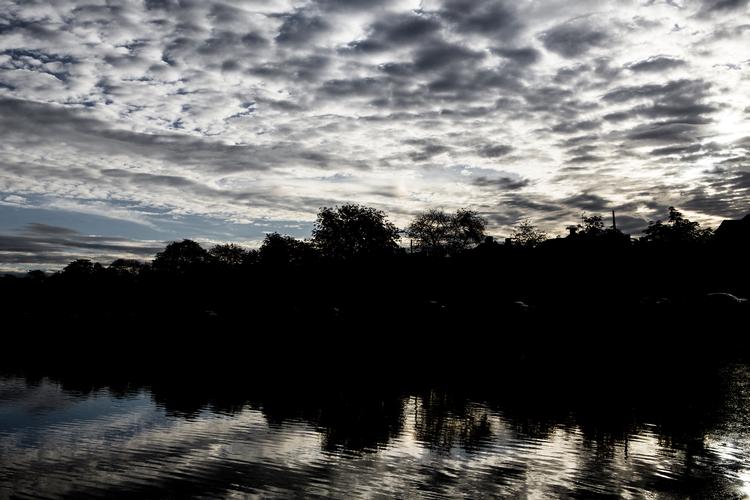 Mens der kommer regn og kraftige byger ind over Danmark lørdag skulle natten ifølge DMI byde på 'kun lokale byger og mest klart vejr'. Simon Fals/POLFOTO