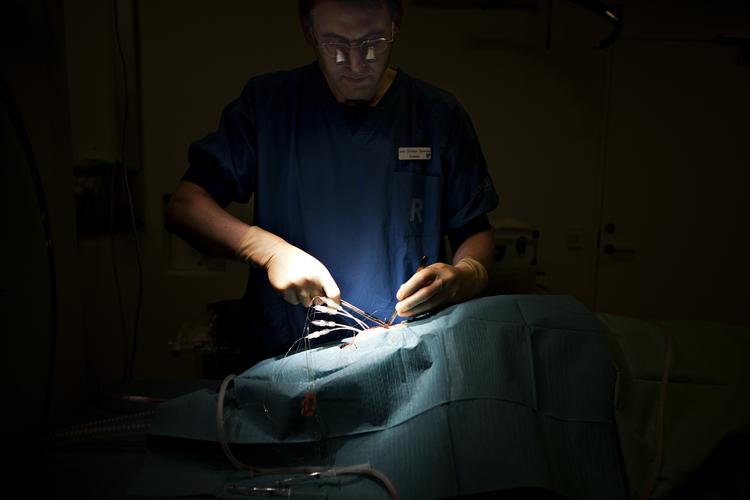 Næsten 1 million danskere er registrede som organdonorer. Heraf er 58 procent kvinder, viser tal fra Donorregisteret.  Marcus Trappaud Bjørn/POLFOTO