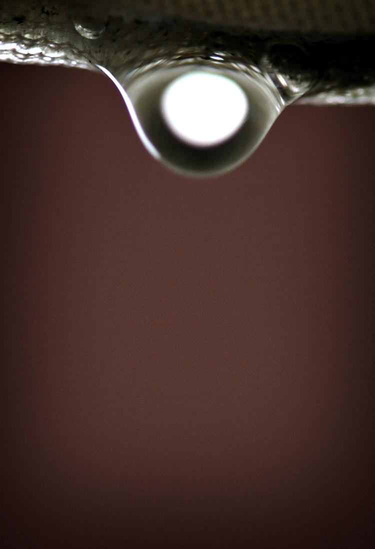 Jens Dresling/POLFOTO