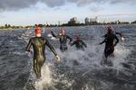 Starten på svømmedistancen under sidste års KMD Iron man Copenhagen.
   Khan Tariq Mikkel/POLFOTO
