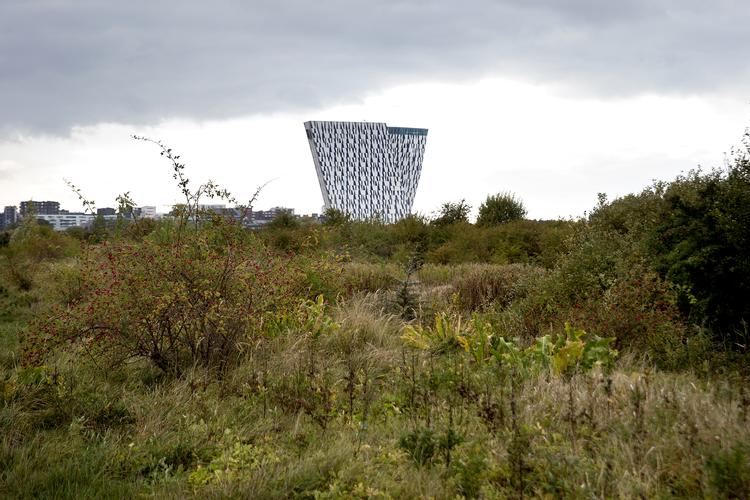 Det oprindelige plan om at bygge 2.500 nye boliger på Strandengen mistede sidste år politisk opbakning. Københavns Kommune har nu nye bud klar.  Finn Frandsen/POLFOTO