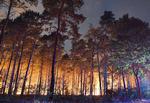 Eksplosionsfaren gør det svært at bekæmpe flammerne.
   Patrick Pleul/Ritzau Scanpix