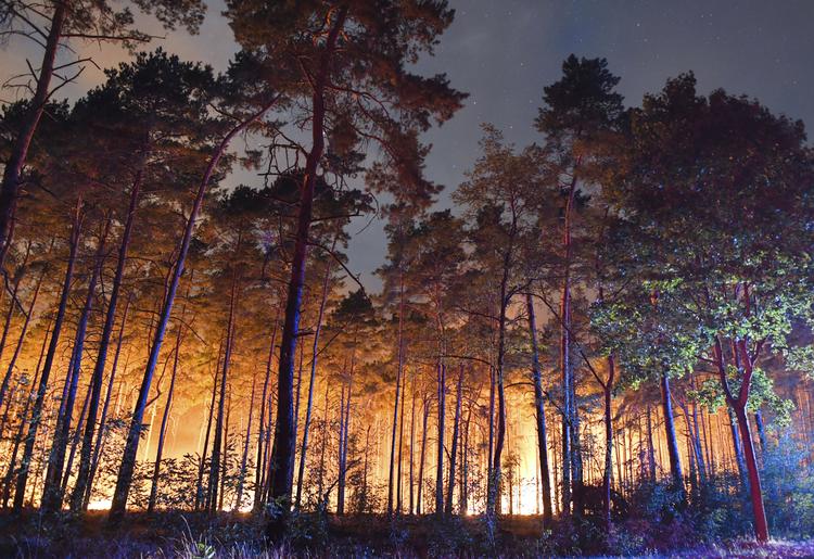 Eksplosionsfaren gør det svært at bekæmpe flammerne.
   Patrick Pleul/Ritzau Scanpix