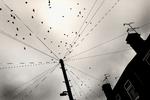 Snyd med kontanthjælp og andre offentlige ydelser skal stoppes, og derfor lægger regeringen op til at overvåge alle borgernes elforbrug. Anders Find/POLFOTO
