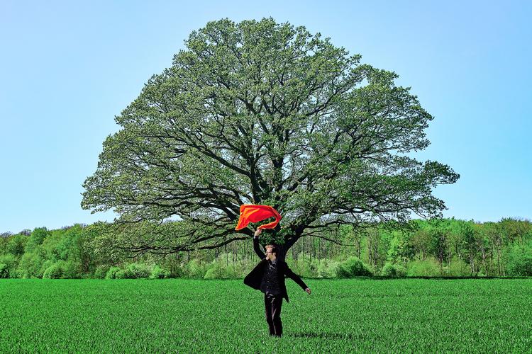 Jakob Anderskov fik orglet til at synge og skælve under festivalen. Mike Højgaard/Neue Pink