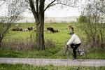 Cyklister som denne ved Egå Engså og alle andre kan se frem til en grå dag med stor risiko for byger. Lund Tanja Carstens/RITZAU/SCANPIX