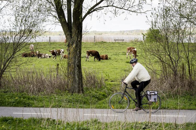 Cyklister som denne ved Egå Engså og alle andre kan se frem til en grå dag med stor risiko for byger. Lund Tanja Carstens/RITZAU/SCANPIX