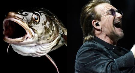 Joachim Adrian/Rob Grabowski/AP