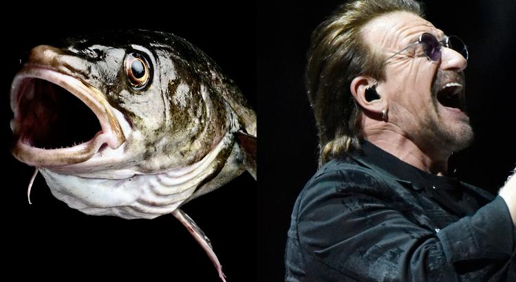 Joachim Adrian/Rob Grabowski/AP