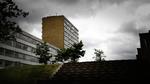 Ifølge en ny politisk aftale i Odense Kommune skal mindst 1000 almene boliger i bydelen Vollsmose  enten omdannes til andre boligformer eller rives ned. Det er ikke afgjort hvilke.    Brohus Anders/POLFOTO