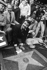 Brich/Ritzau Scanpix