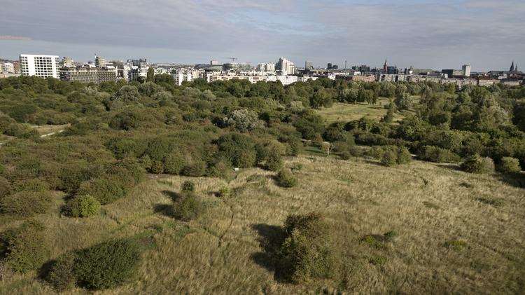 Der er ingen grund til at fjerne grønne områder i København, mener Enhedslisten, der sammen med Alternativet kritiserer planerne om at bebygge et stort område af Amager Fælled. Jens Dresling/POLFOTO