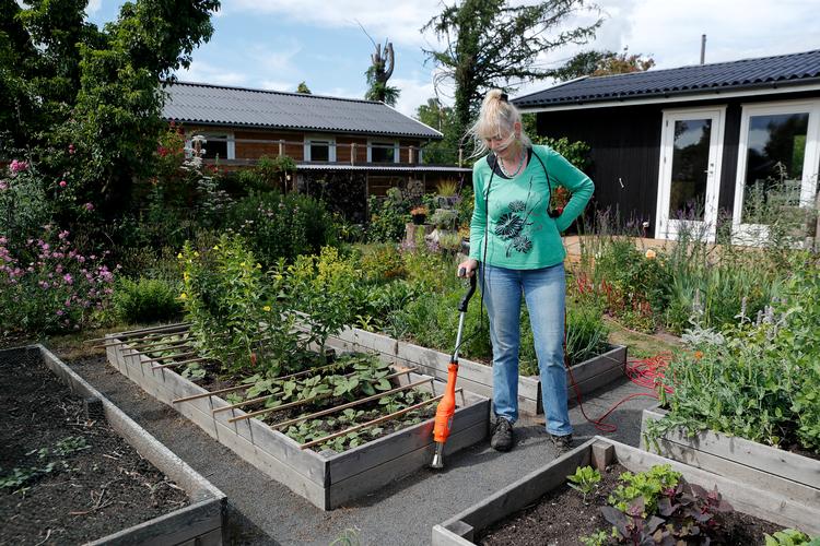 Jens Dresling/POLFOTO