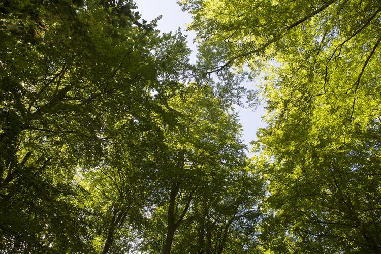 Det, der engang var naturens blinde kræfter, fremstår nu i stigende grad som konsekvenser af kulturen. Og det, der engang var samfunds- eller menneskeskabt, fremstår nu mere og mere som naturlove. Simon Fals/POLFOTO
