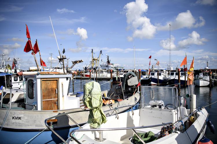 Sagen om fiskekvoterne har nu kørt siden 2015.  Graversen Anita/POLFOTO