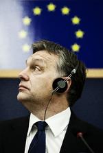 Ditte Valente/POLFOTO