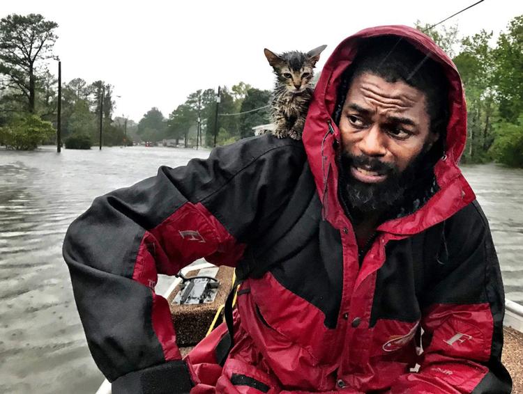 Robert Simmons Jr. and his kitten 'Survivor' - 'Overlever' - bliver reddet. Andrew Carter/AP