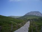 Koreanske turister valfarter til Jeju-øen i en sådan grad, at flyruten fra Seoul er verdens travleste. Wikimedia