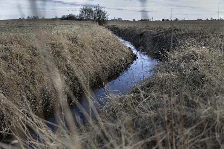 Vestre Landsret fastslår onsdag, at de danske vandplaner ikke skal efterprøves ved EU-Domstolen, som landbruget ellers har ønsket. (arkiv)
   Mads Nissen/POLFOTO