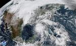 Amerikanere forbereder sig på orkanen Michael, der kan blive den mest ødelæggende storm i det nordvestlige Florida i årtier.  /AP
