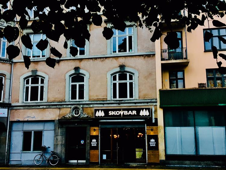 Noget vaskeægte brunt bodega er Skovbar dog ikke helt, indrømmer Carl-Peter Diamant. For man må nemlig ikke ryge indenfor. Pr-foto Louise Ystrøm